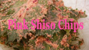 Pink Shiso Chips